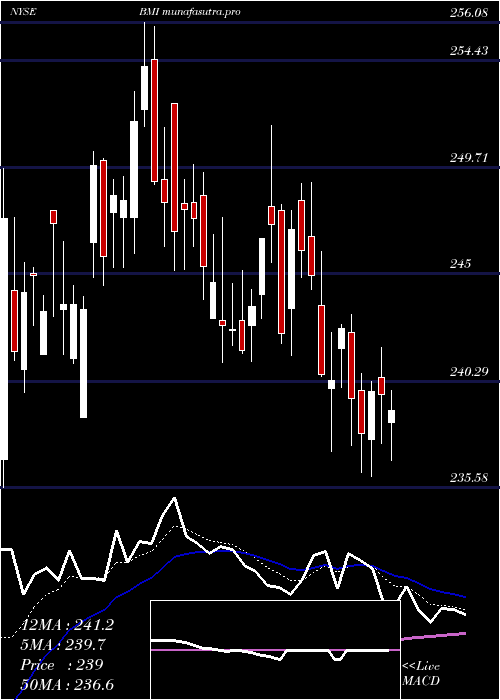 Daily chart BadgerMeter
