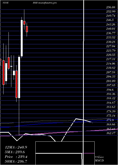 monthly chart BadgerMeter