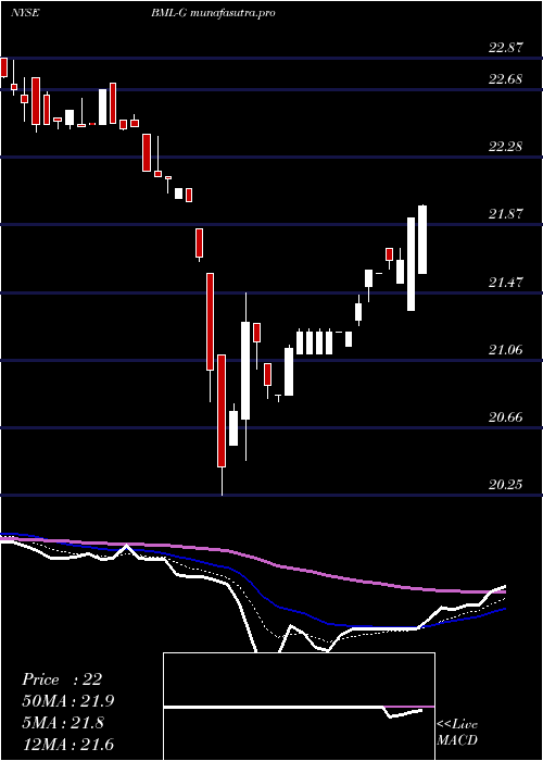 Daily chart BankAmerica