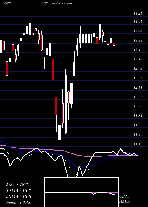  Daily chart BurfordCapital