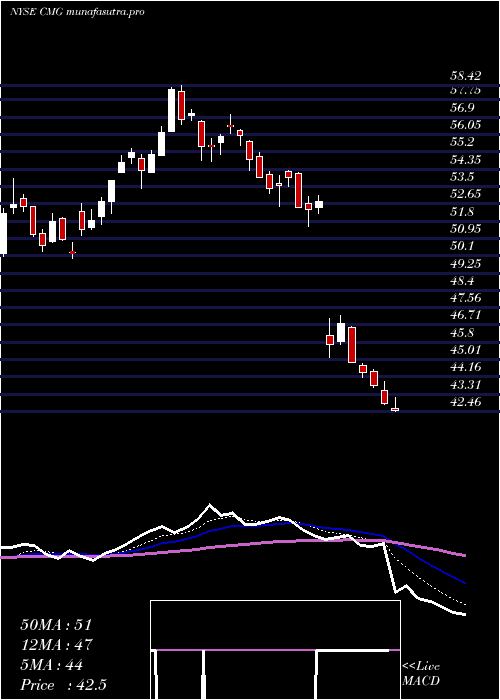  Daily chart ChipotleMexican