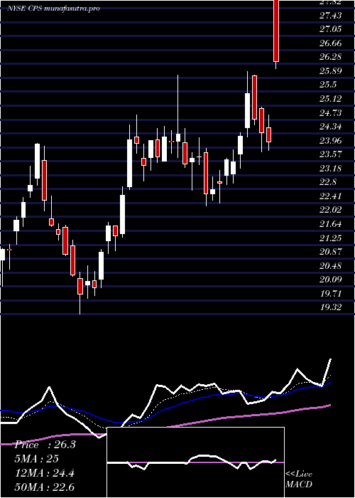 Daily chart CooperStandard