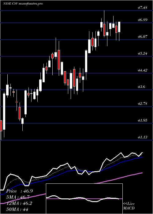 Daily chart CarriageServices
