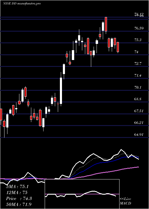 Daily chart EI