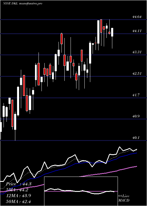 Daily chart DelekLogistics