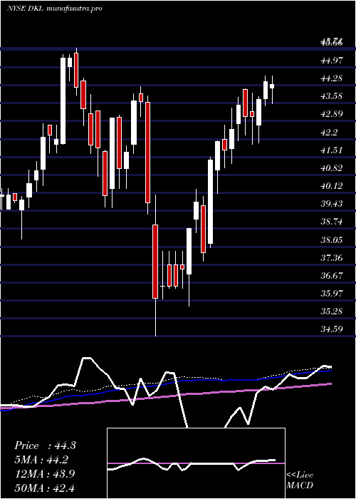 weekly chart DelekLogistics