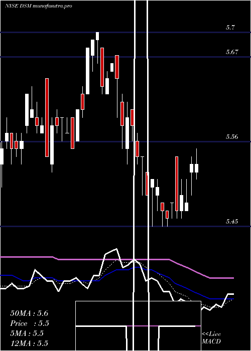  Daily chart DreyfusStrategic