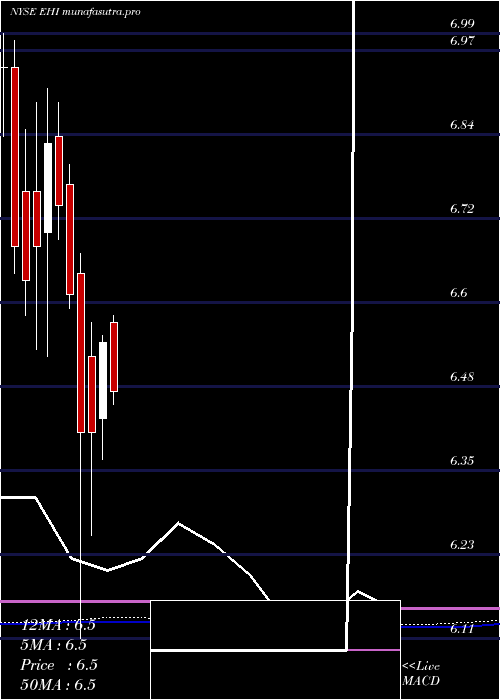 monthly chart WesternAsset