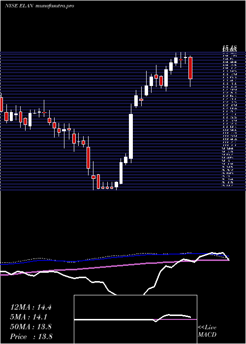  weekly chart ElancoAnimal