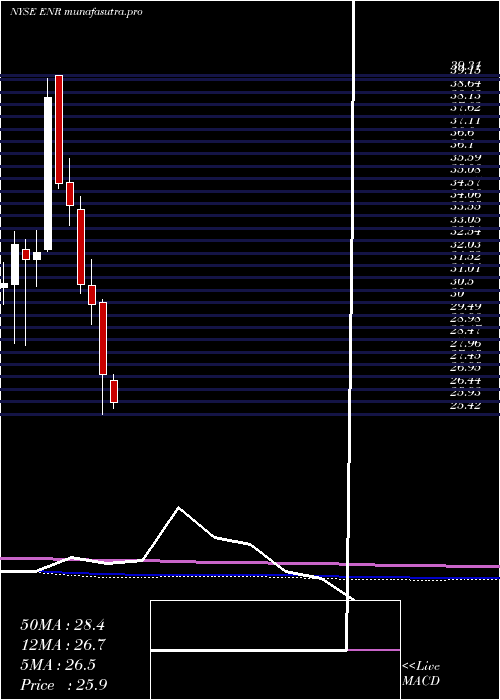 monthly chart EnergizerHoldings