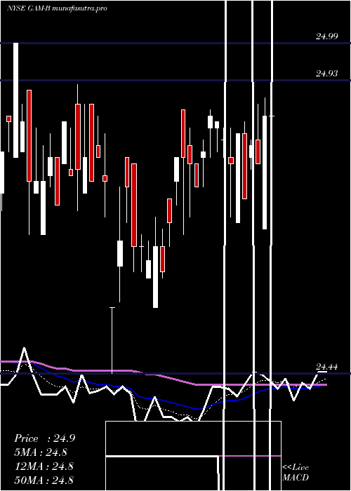 Daily chart GenlAmer