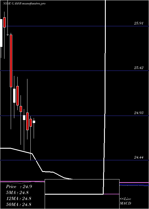 monthly chart GenlAmer