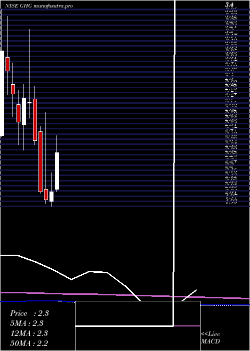 monthly chart GreentreeHospitality