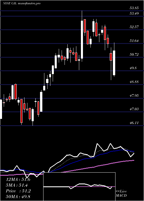  Daily chart GildanActivewear