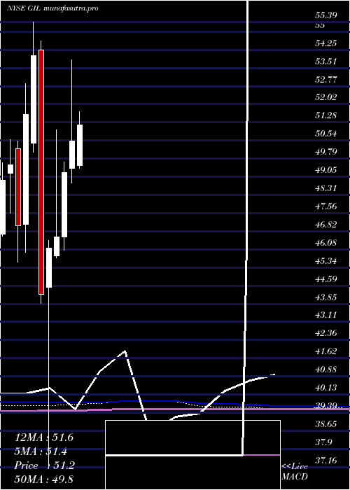 monthly chart GildanActivewear