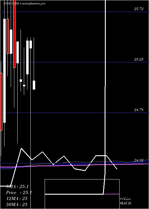 monthly chart GlobalMed