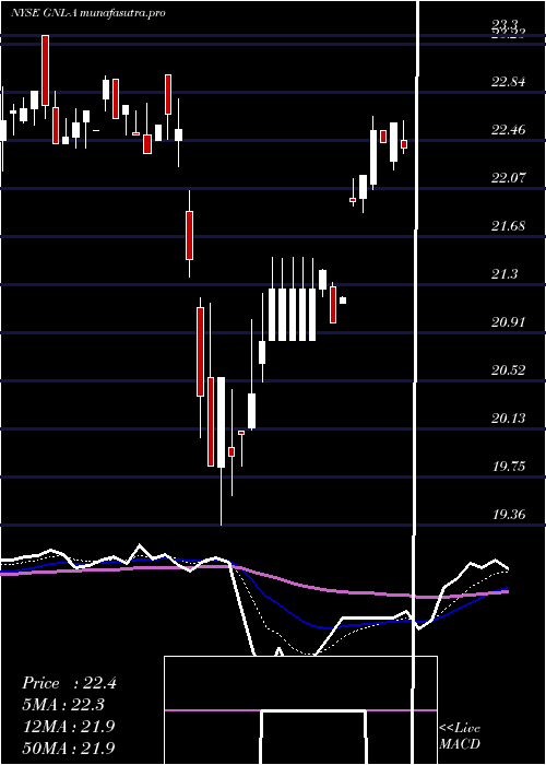 Daily chart GlobalNet