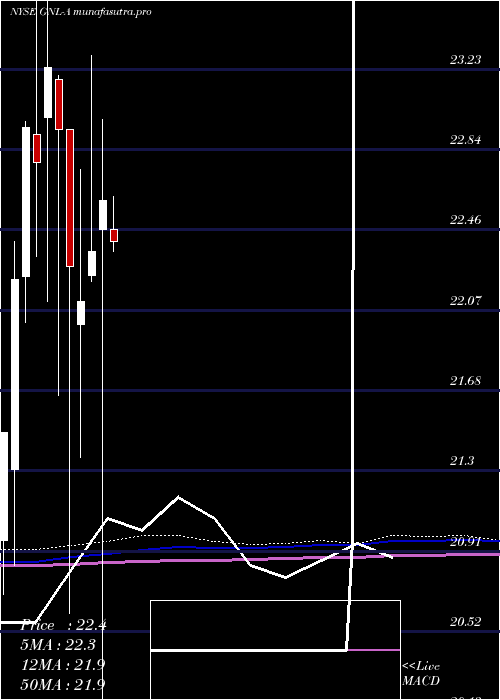 monthly chart GlobalNet