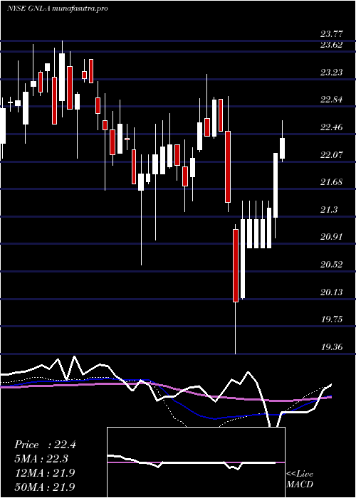 weekly chart GlobalNet