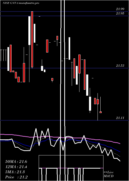 Daily chart GamcoNat