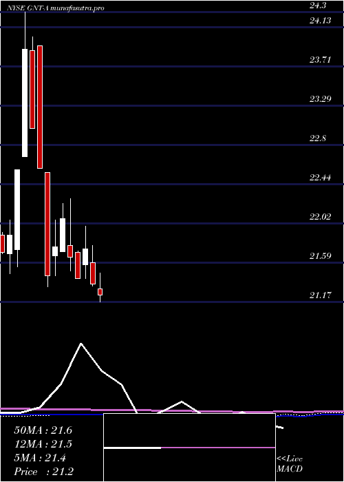 monthly chart GamcoNat