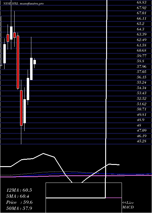  monthly chart HexcelCorporation