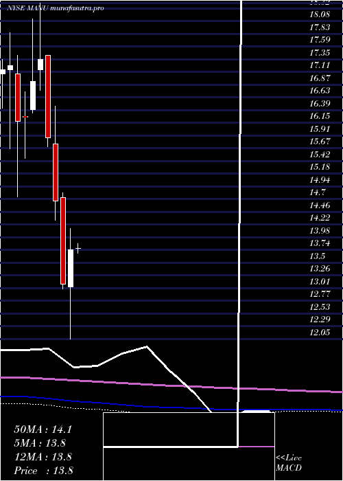 monthly chart ManchesterUnited