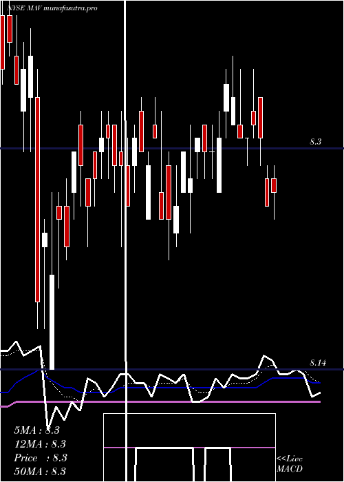 Daily chart PioneerMunicipal
