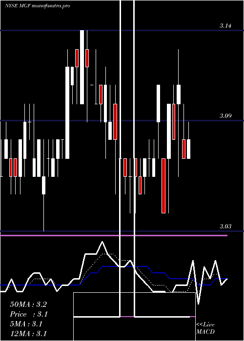  Daily chart MfsGovernment