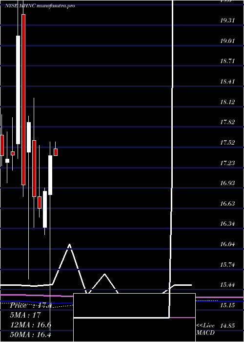 monthly chart MaidenHoldings