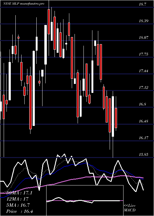  Daily chart MauiLand