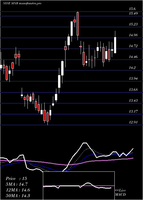 Daily chart MonmouthReal