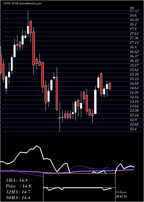 weekly chart MonmouthReal