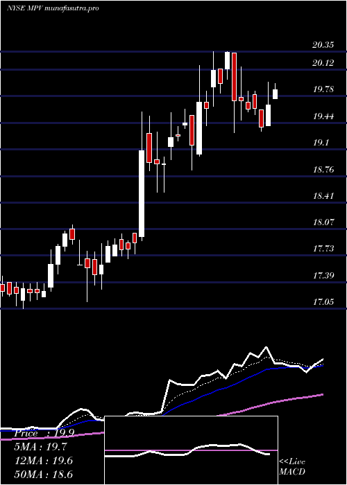 Daily chart BaringsParticipation
