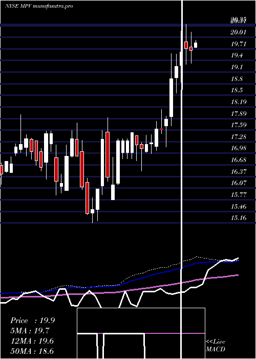 weekly chart BaringsParticipation