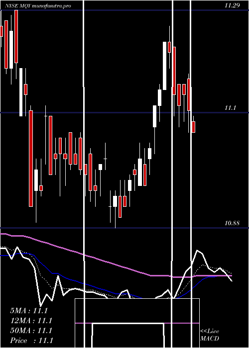 Daily chart BlackrockMuniyield