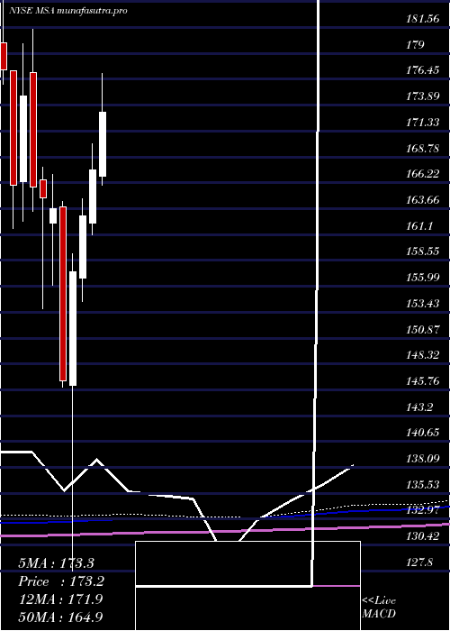 monthly chart MsaSafety