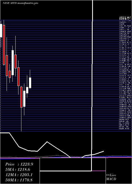 monthly chart MettlerToledo