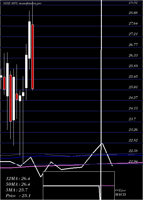 monthly chart MgicInvestment