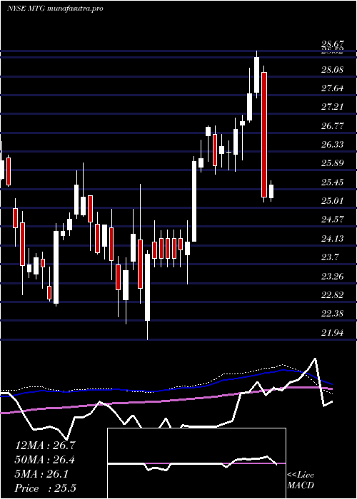 weekly chart MgicInvestment