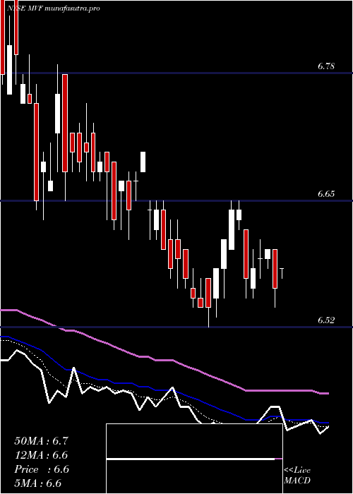 Daily chart MunivestFund