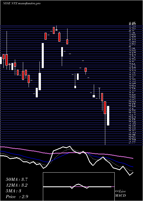 Daily chart NatuzziS