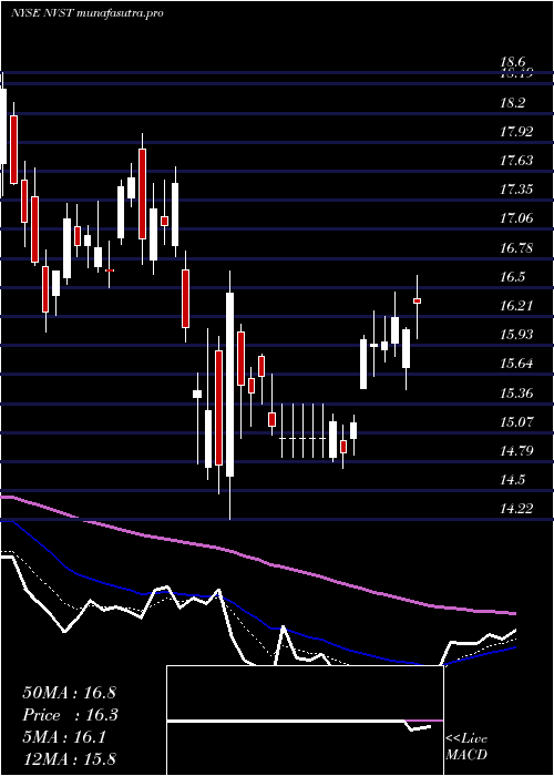 Daily chart EnvistaHoldings