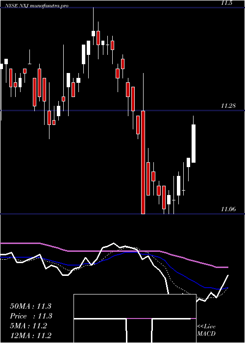  Daily chart NuveenNew