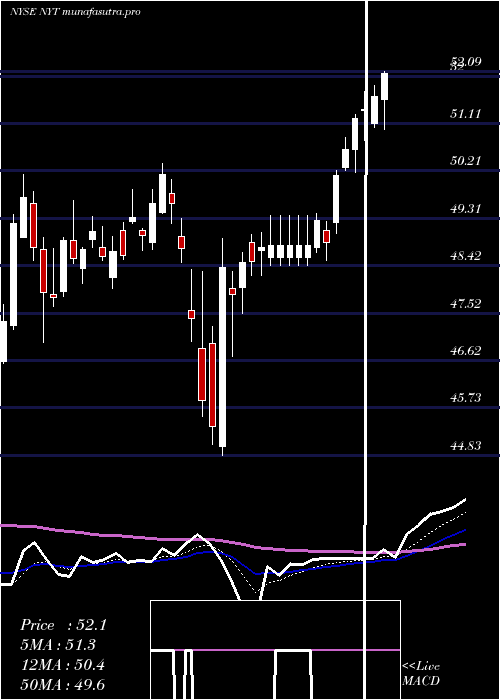  Daily chart NewYork