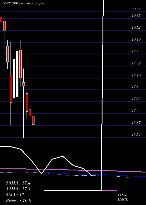 monthly chart RivernorthDoubleline