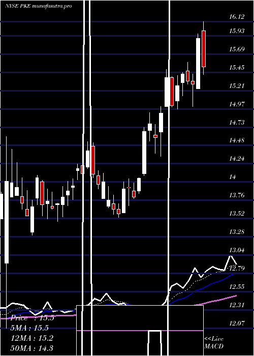 Daily chart ParkElectrochemical