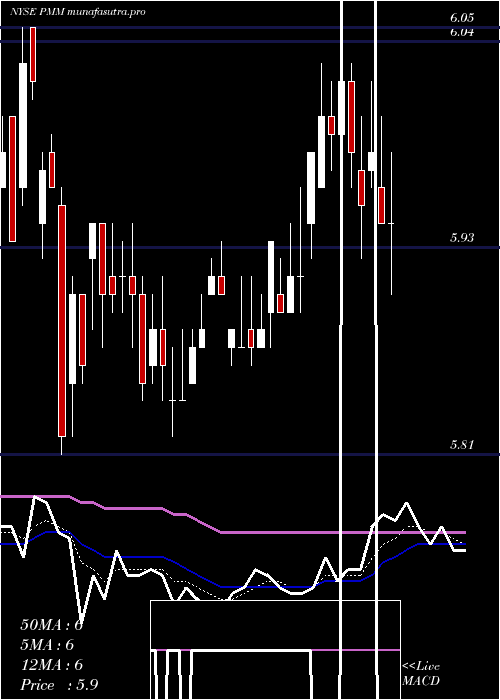  Daily chart PutnamManaged