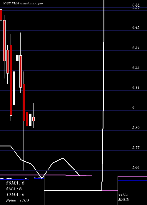  monthly chart PutnamManaged