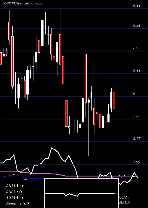  weekly chart PutnamManaged